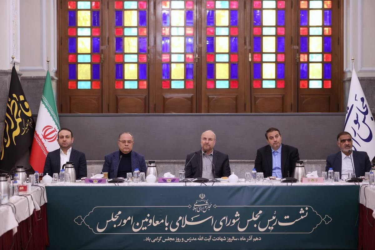 دبیری: دولت و مجلس بیش از هر زمانی نیاز به همدلی و اتحاد دارند 