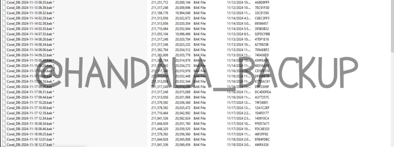 یکی از بزرگ‌ترین شرکت‌های بیمه اسرائیل هک شد