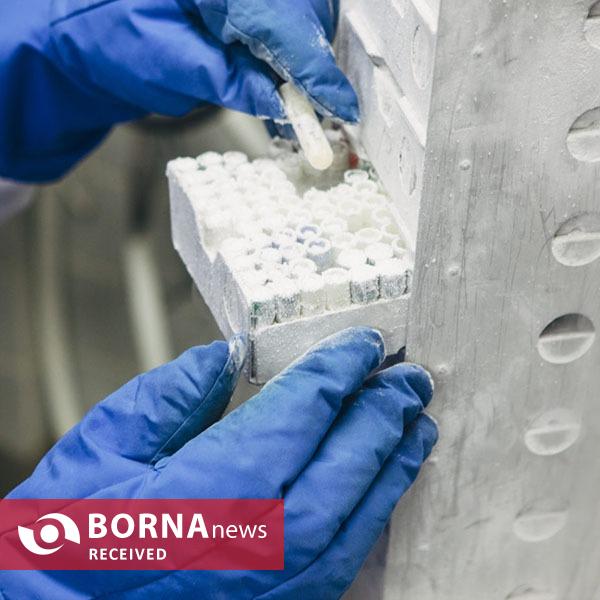 تولید فریزرهای منفی ۸۶ درجه سانتیگراد با فناوری بومی/ ایران در جمع ۱۰ تولیدکننده برتر جهان تولید فریزرهای منفی ۸۶ درجه سانتیگراد با فناوری بومی/ ایران در جمع ۱۰ تولیدکننده برتر جهان