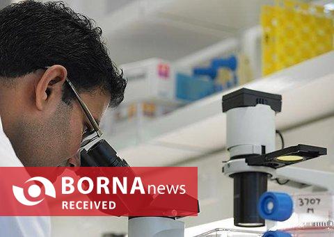 ایران در جمع غولهای فناوری پزشکی/ تولید «ژل وارمر» برای نخستین بار در کشور ایران در جمع غولهای فناوری پزشکی/ تولید «ژل وارمر» برای نخستین بار در کشور
