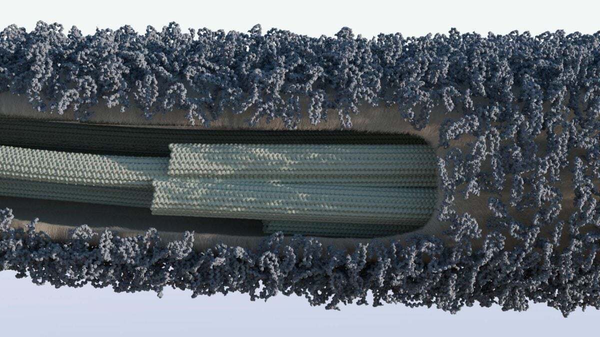 راز حرکت و چسبندگی مژک‌ها فاش شد!