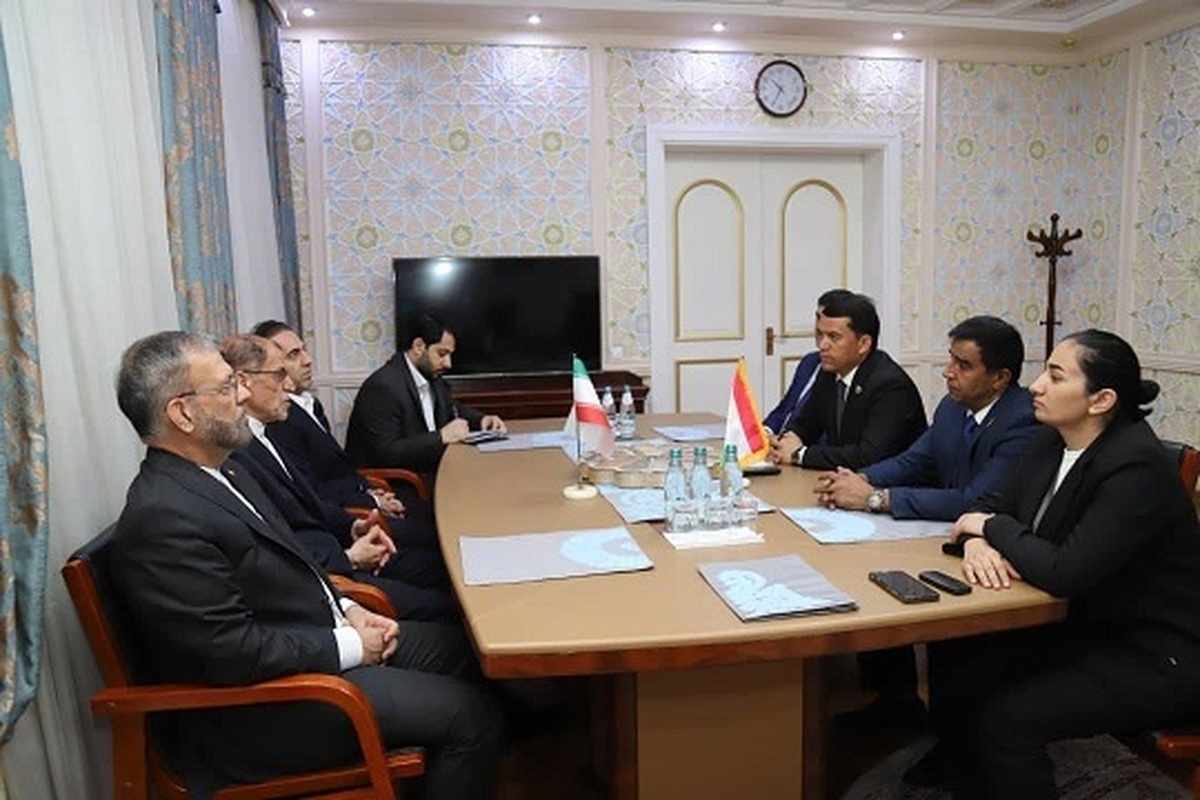 سفر رئیس کمیته ملی المپیک به تاجیکستان جهت حضور در نشست منطقه‌ای آسیای میانه