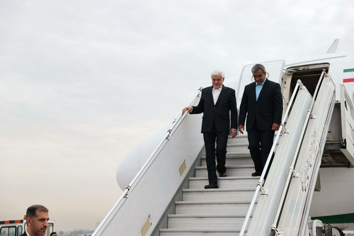 عارف وارد مشهد مقدس شد