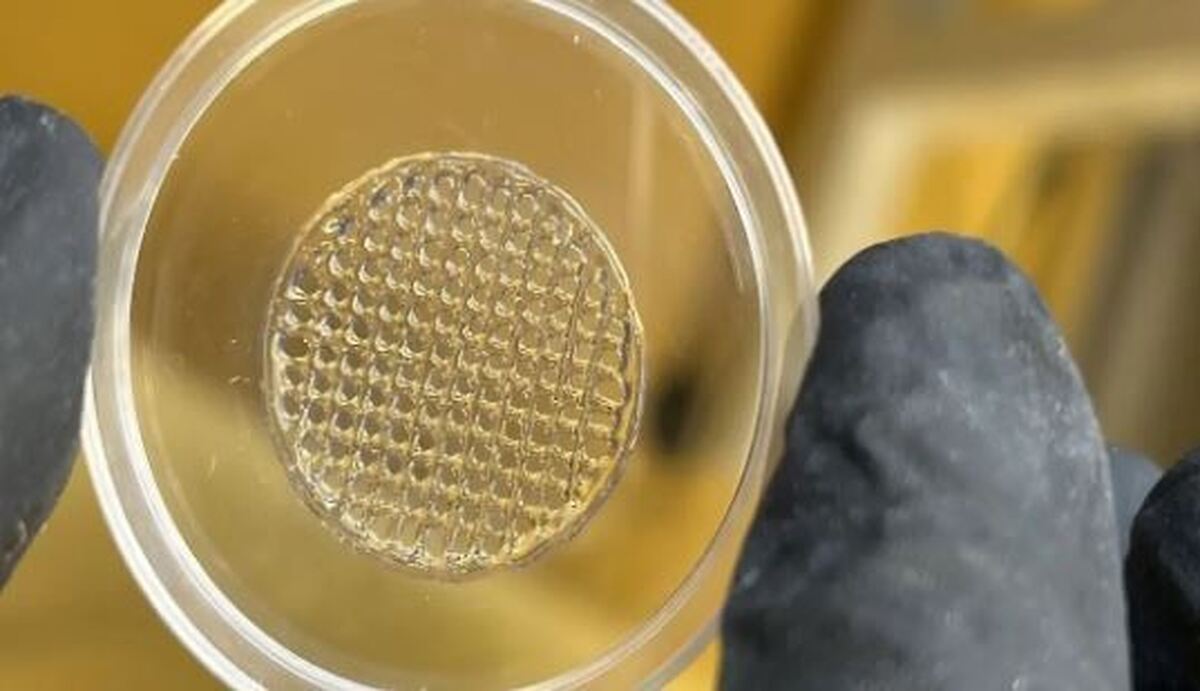 توسعه پوست مصنوعی با کمک فناوری چاپ سه‌بعدی