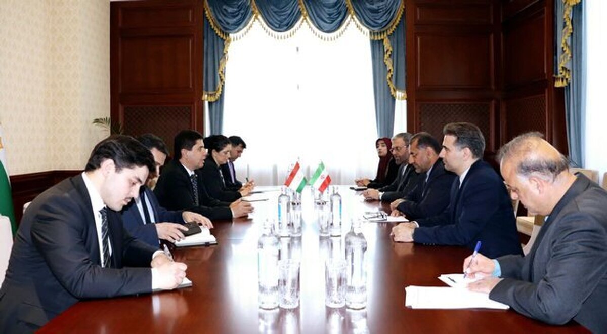 دیدار معاون عارف با وزیر توسعه اقتصادی و تجارت تاجیکستان