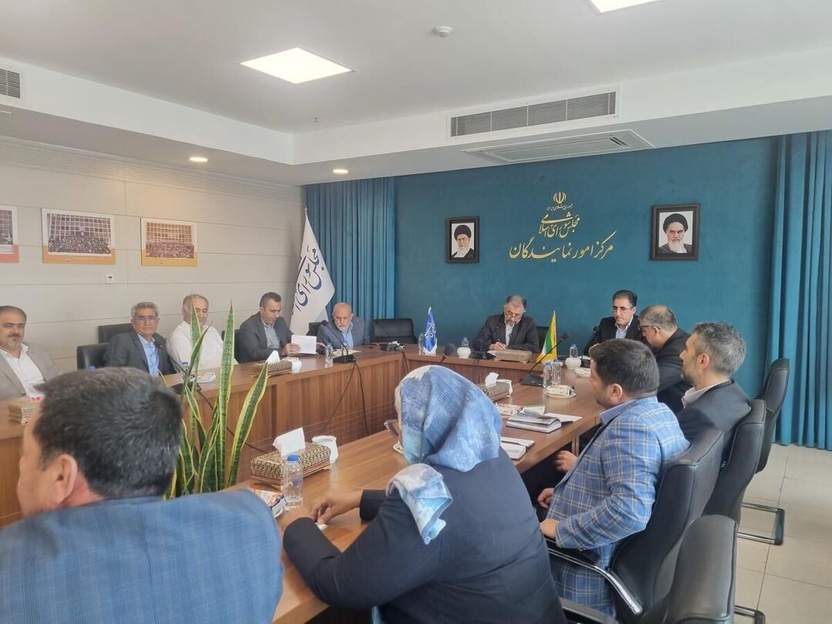 علیزاده: باید خروجی ۳۰ درصدی صنایع موجود را به ۱۰۰ درصد برسانیم