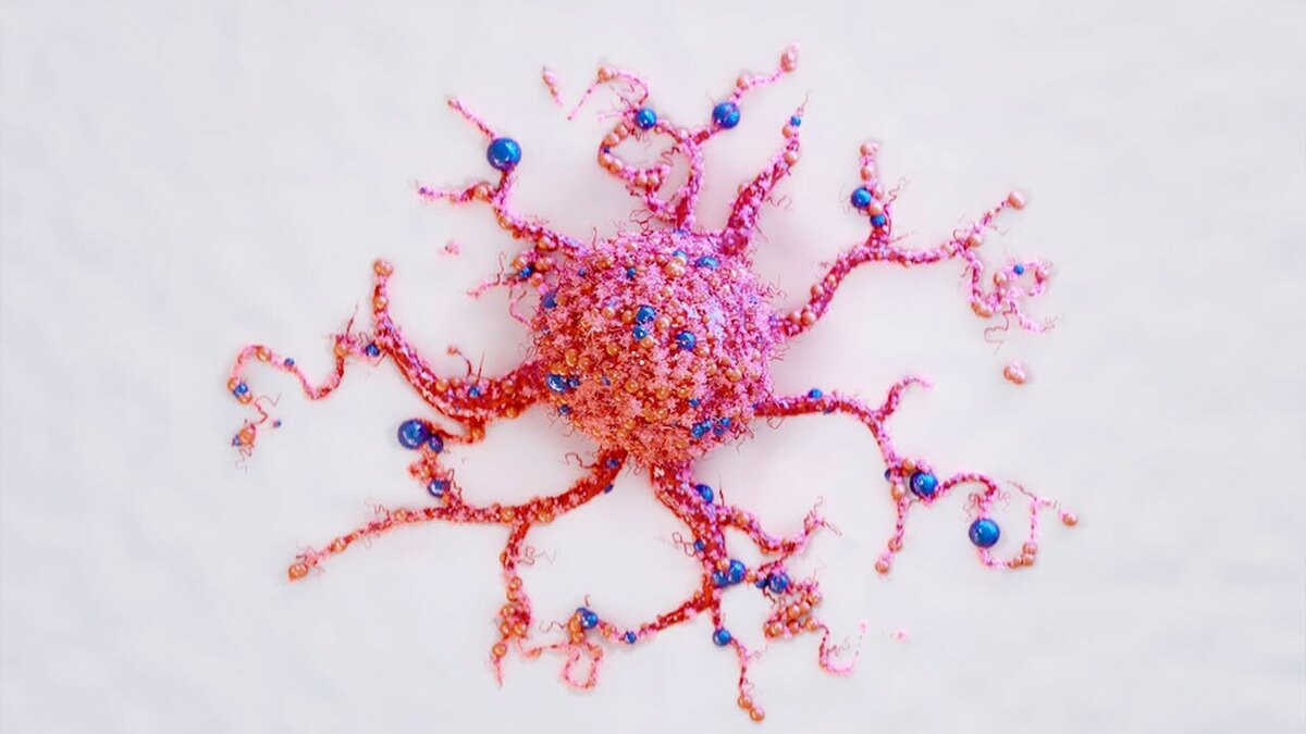 درمان چندوجهی سرطان با ترکیب باکتری و نانوذرات