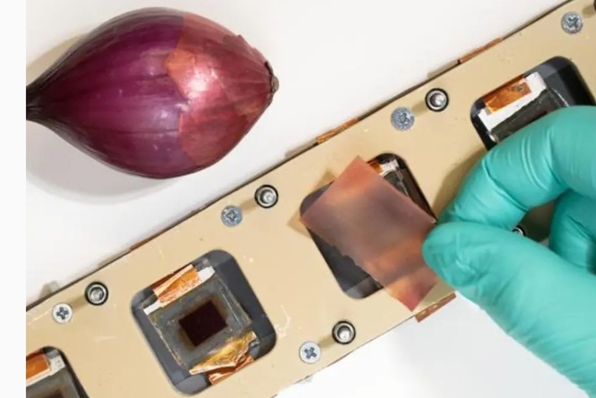 مسدود کردن 99.9 درصدی اشعه UV با پوست پیاز