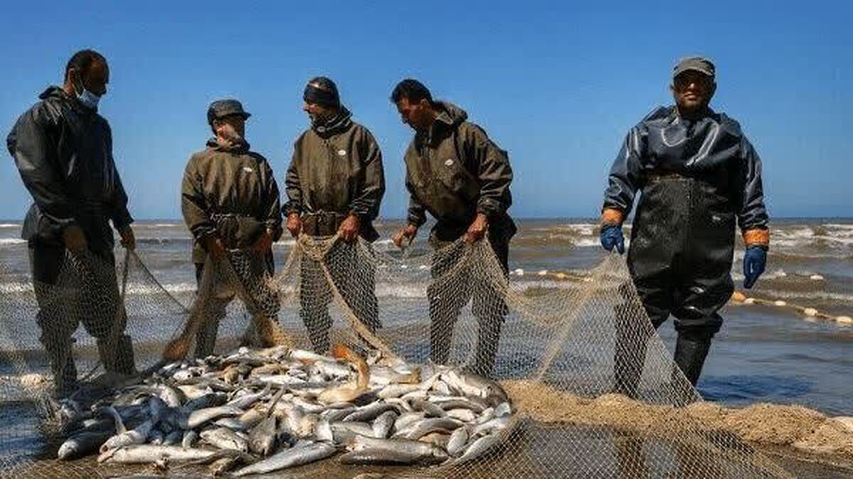 سرمایه گذاری ۵ هزارمیلیاردتومانی در حوزه آبزیان گلستان