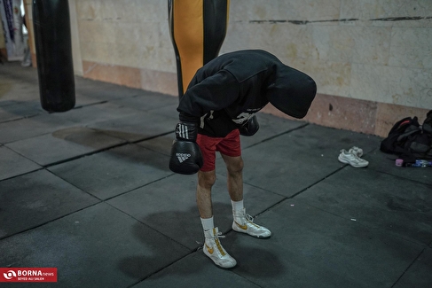 حوالی رینگ بوکس