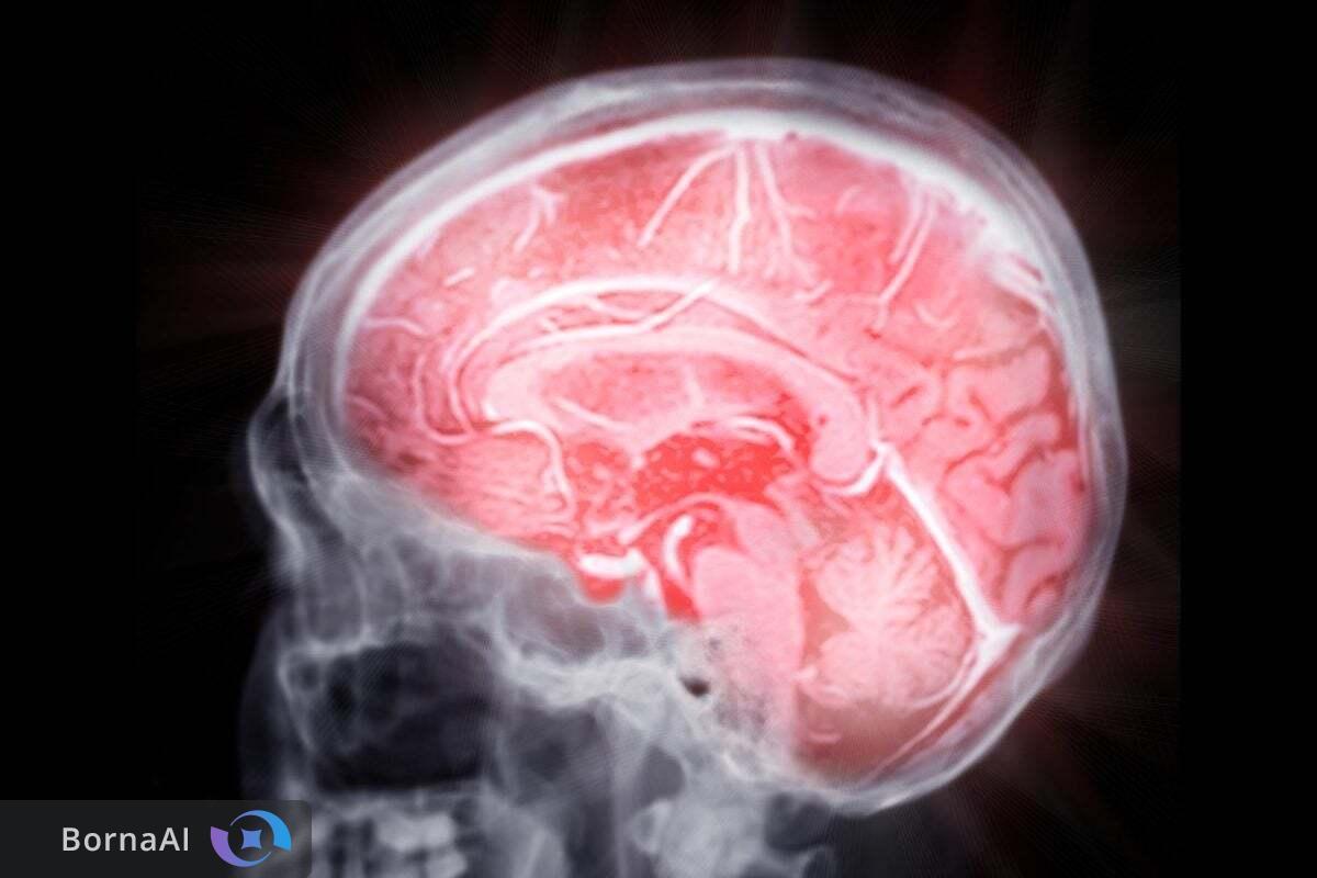 کلید مغزی برای پاکسازی پلاک‌های آلزایمر کشف شد