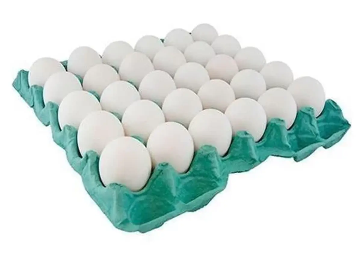 رشد ۶ درصدی تولید تخم‌مرغ در قزوین / ثبت ۸۱ هزار تن تولید در نه‌ماهه نخست سال 