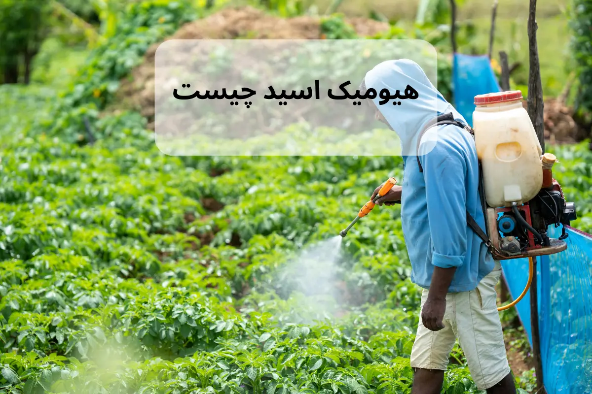 کود هیومیک اسید برای چه گیاهانی مناسب است؟