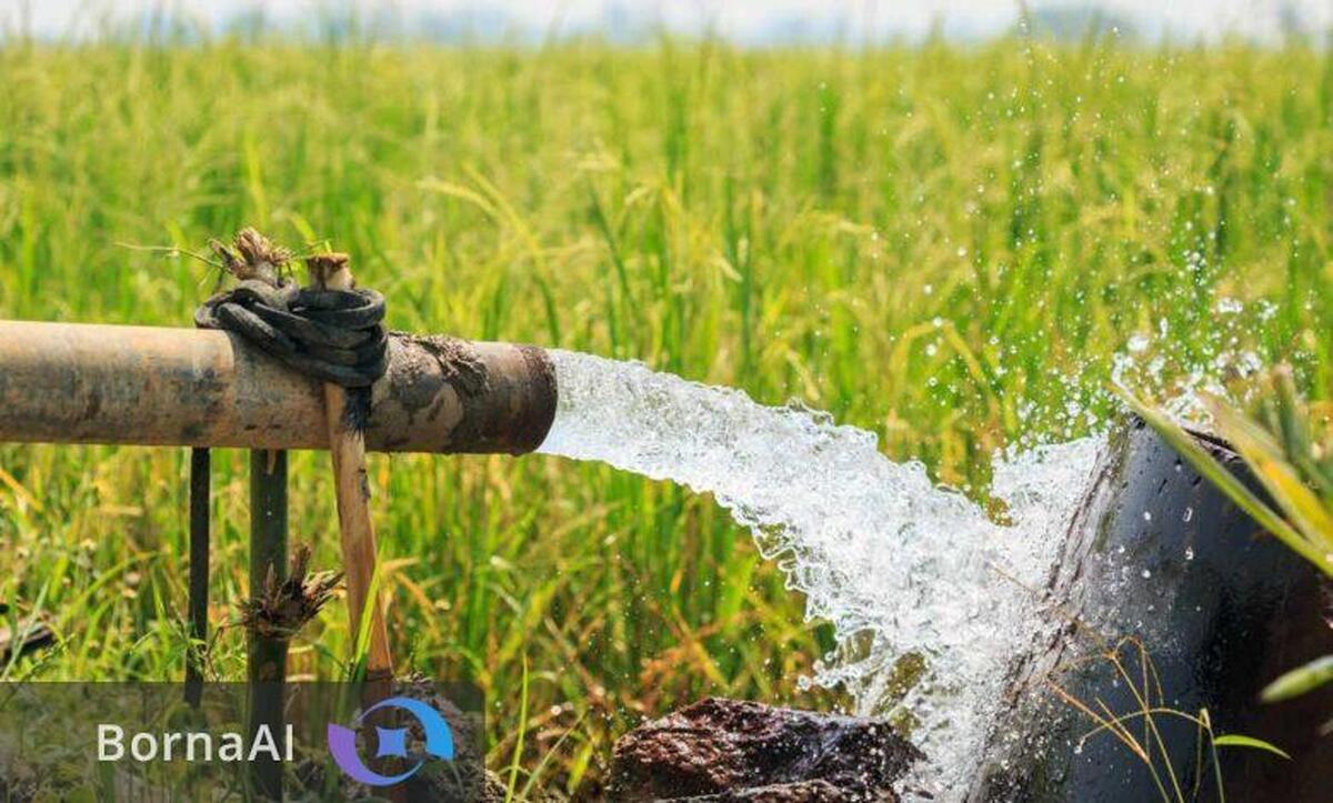 مدیریت مصرف آب کشاورزی با هیدروژل‌های زیست‌تخریب‌پذیر