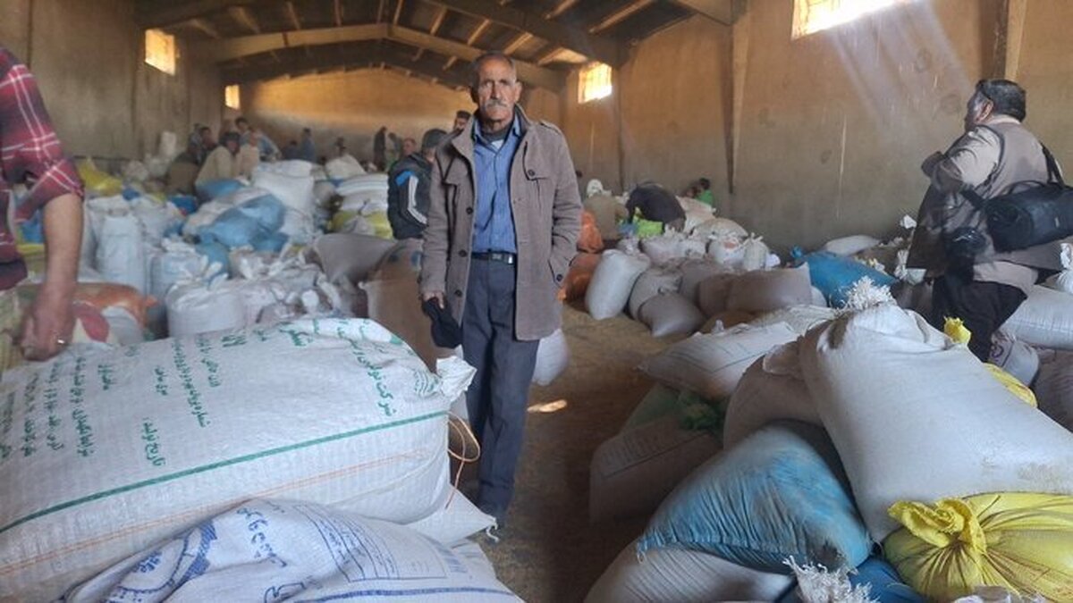 نهاده‌های دامی به عشایر گچساران نمی‌رسد!/ نابسامانی در توزیع یا کمبود نهاده؟