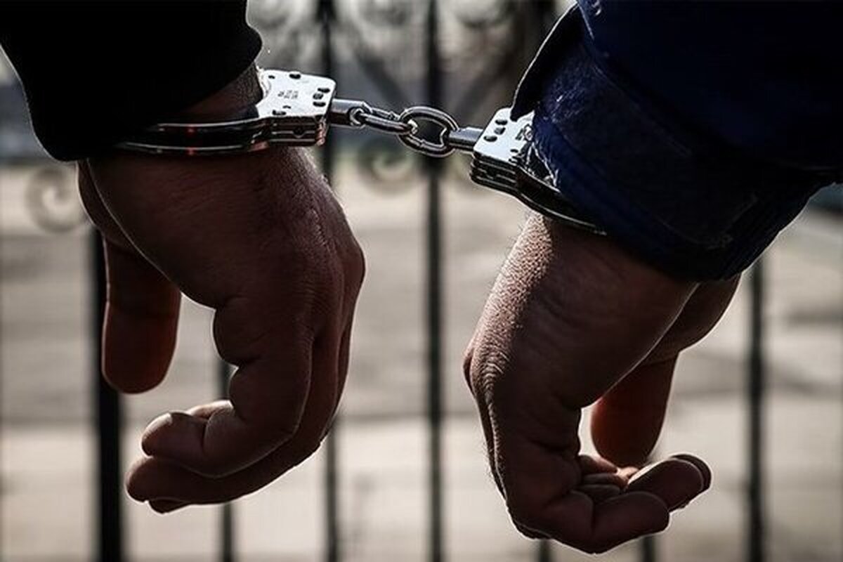 توقیف ۴۵ تن نهاده دامی در سمنان