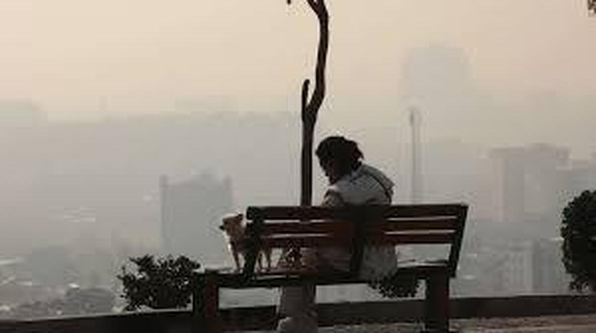 هشدار سازمان هواشناسی نسبت به آلودگی هوا در ۷ کلانشهر/ وزش باد در ۲ استان ساحلی جنوب کشور