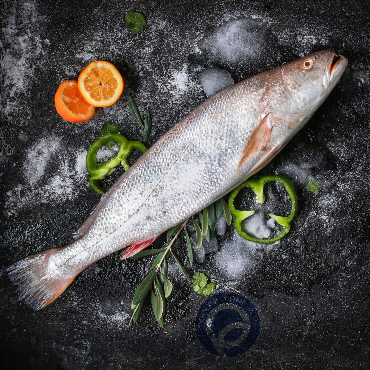 اعلام قیمت انواع آبزیان در میادین و بازار‌های میوه و تره بار