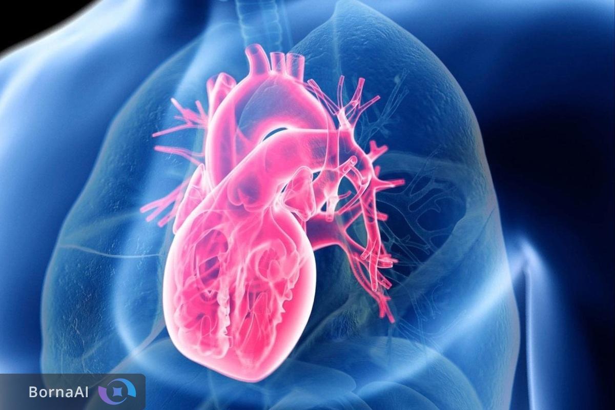 راهکاری نوین در مدیریت نارسایی قلبی؛ آموزش مجازی اعتماد به نفس بیماران را تقویت می‌کند!