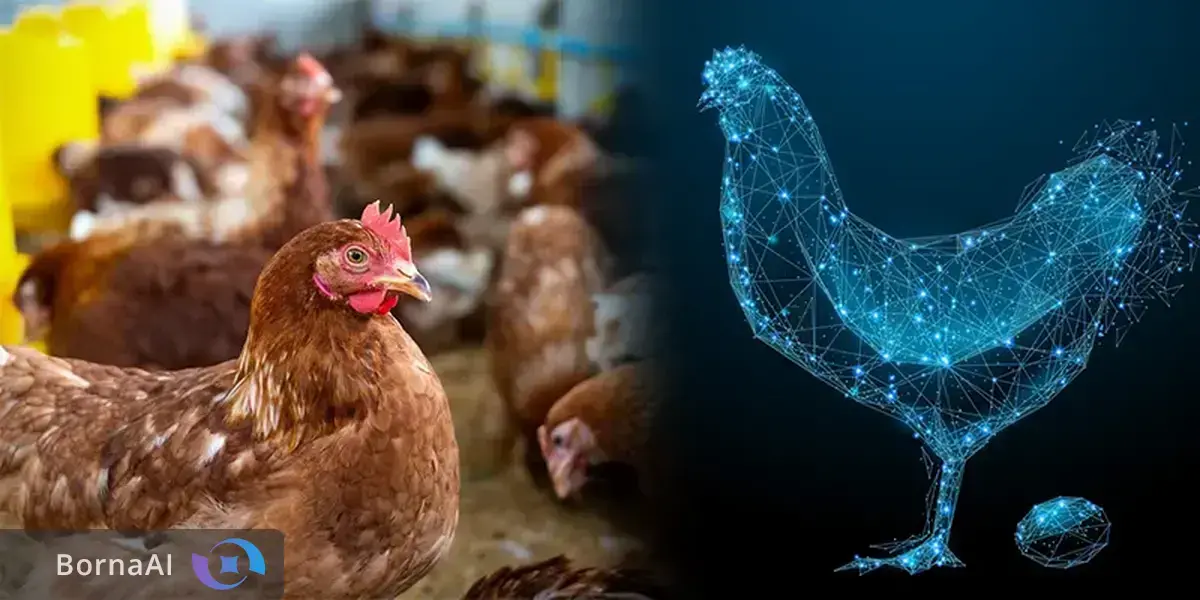 راهکار نوآورانه ایرانی برای سلامت طیور و امنیت غذایی