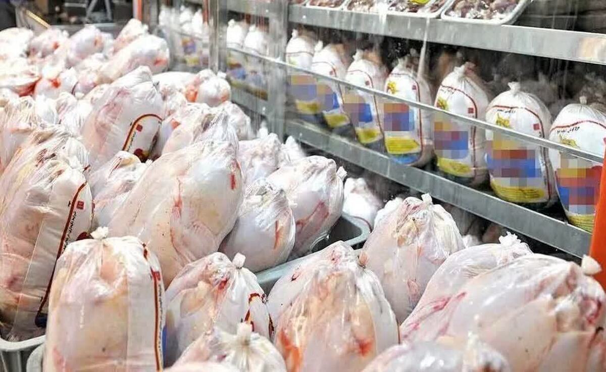 توزیع یک هزار و ۷۲۵ تن گوشت مرغ در لرستان