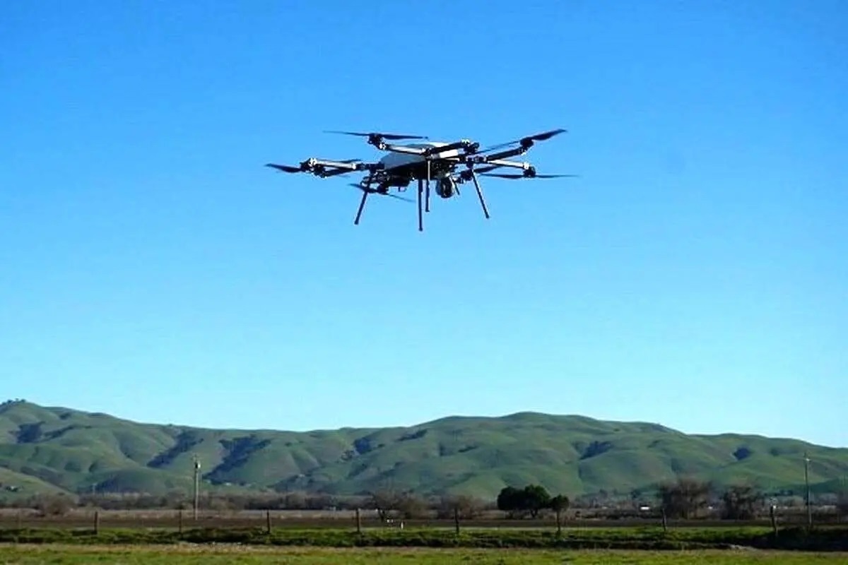 ریزپرنده‌ها به حریم تهران رسیدند