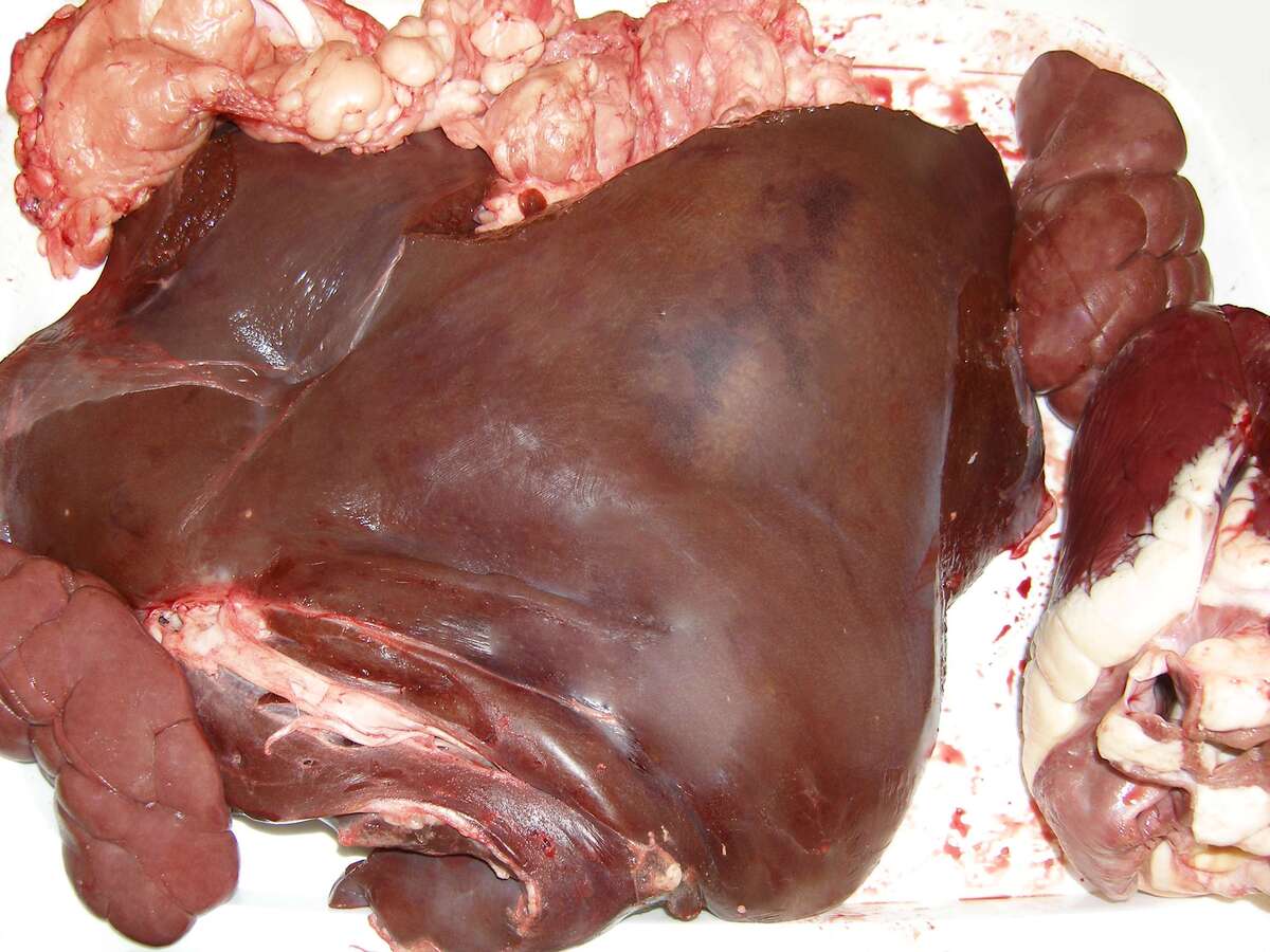 اعلام قیمت آلایش گوساله و گوسفندی بسته بندی