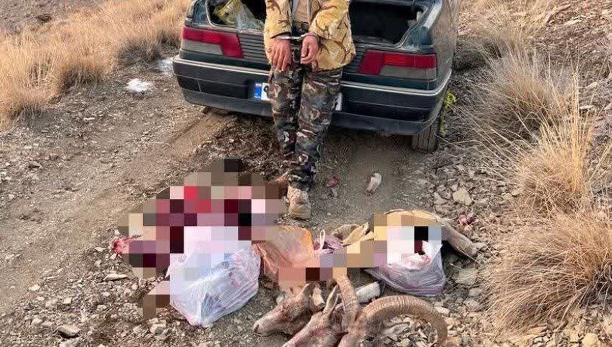 ۲ شکارچی غیربومی در دام محیط‌بانان قم گرفتار شدند