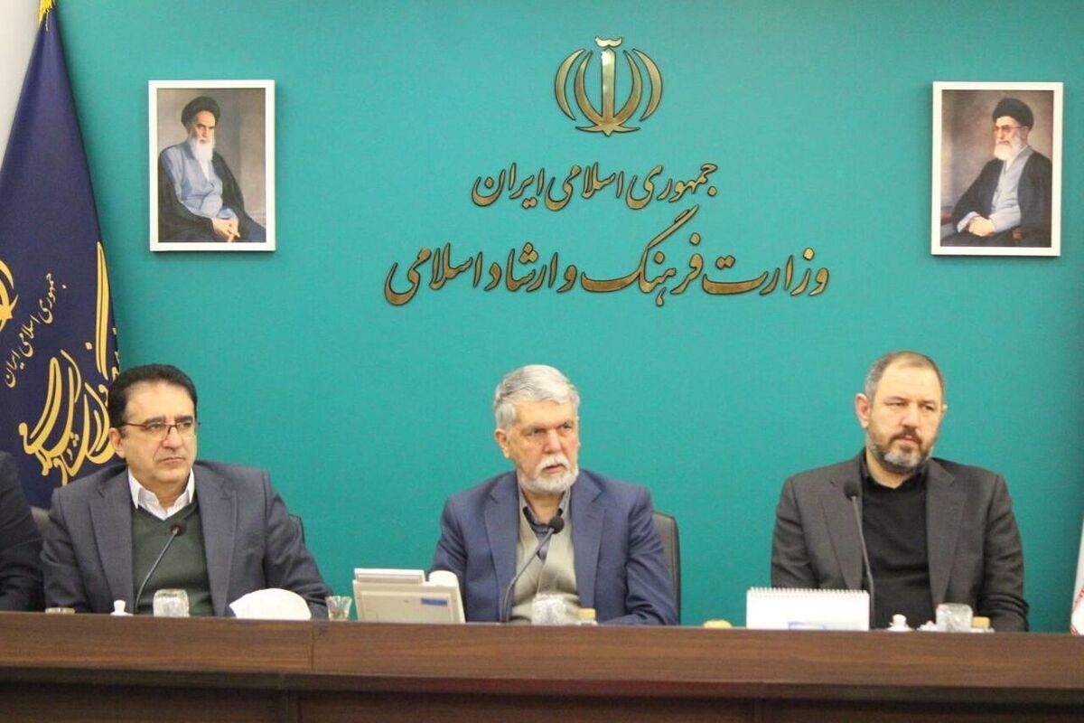 بررسی پیمایش درآمدی بر سرمایه اجتماعی در جلسه شورای فرهنگ عمومی