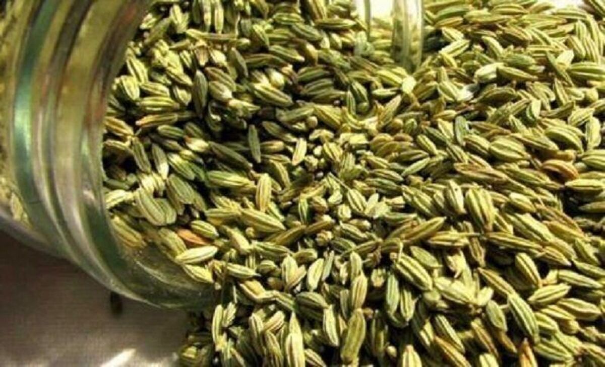 افزایش ۱۴۲ درصدی کشت گیاهان دارویی در برنامه هفتم توسعه خراسان‌شمالی