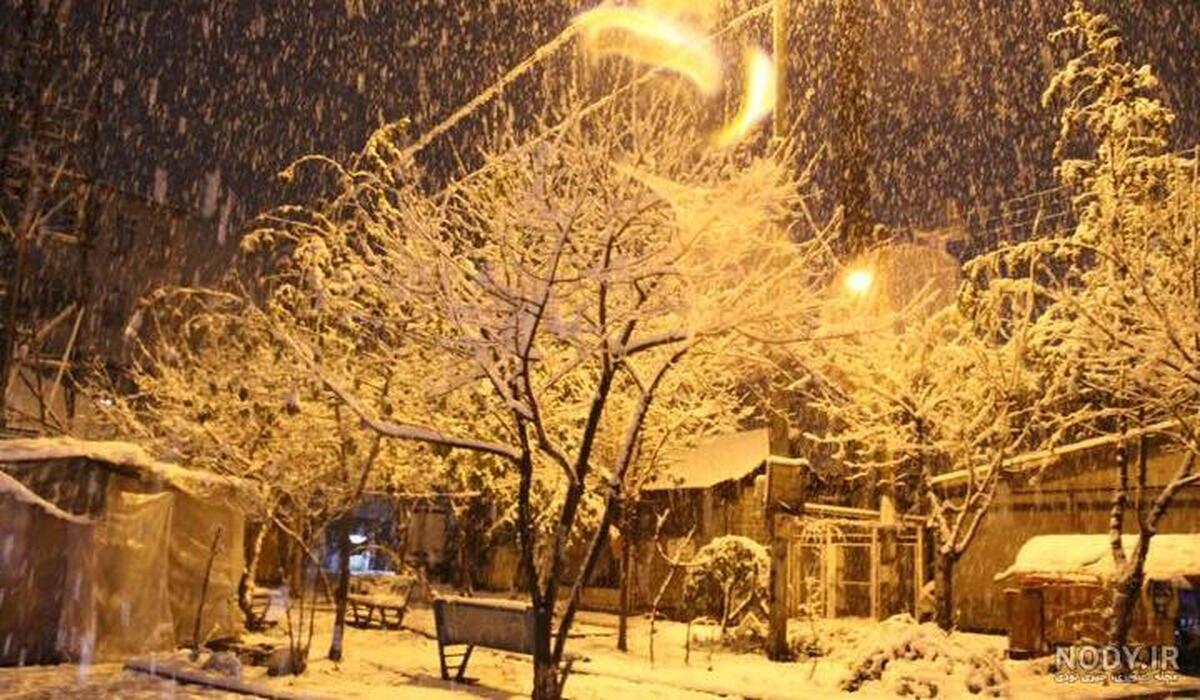 آغاز بارش برف در شهرکرد+فیلم