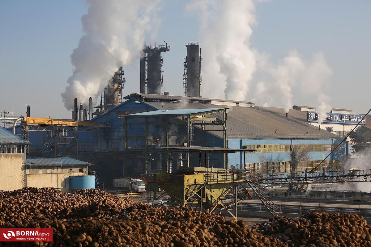 تولید شکر از چغندر قند در کارخانه‌ی قند اصفهان