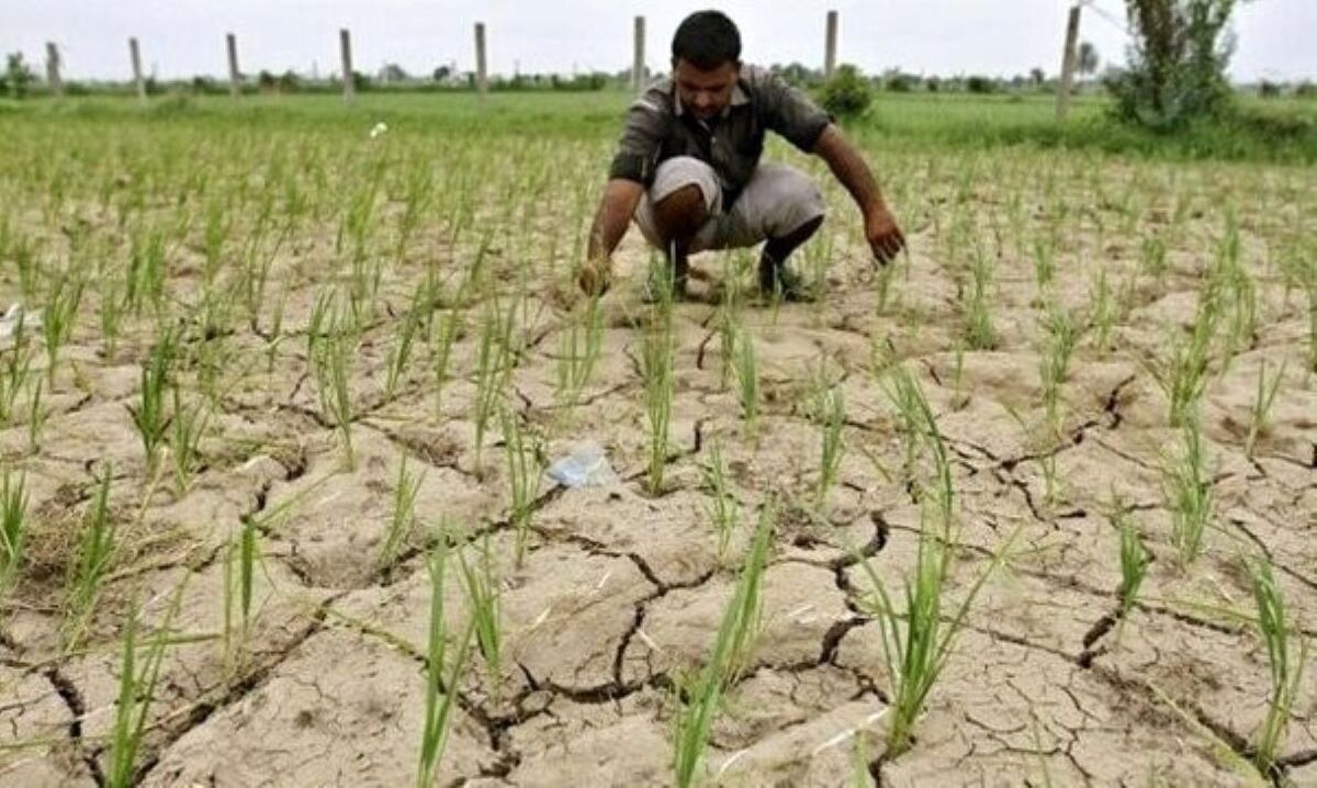 محدودیت منابع آبی و ضرورت تغییر الگوی کشت در طارم