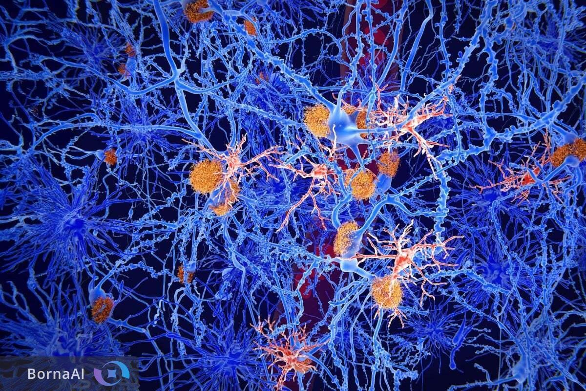 کشف مرحله پنهان آلزایمر؛ دانشمندان راه توقف بیماری را پیش از تخریب مغز یافتند