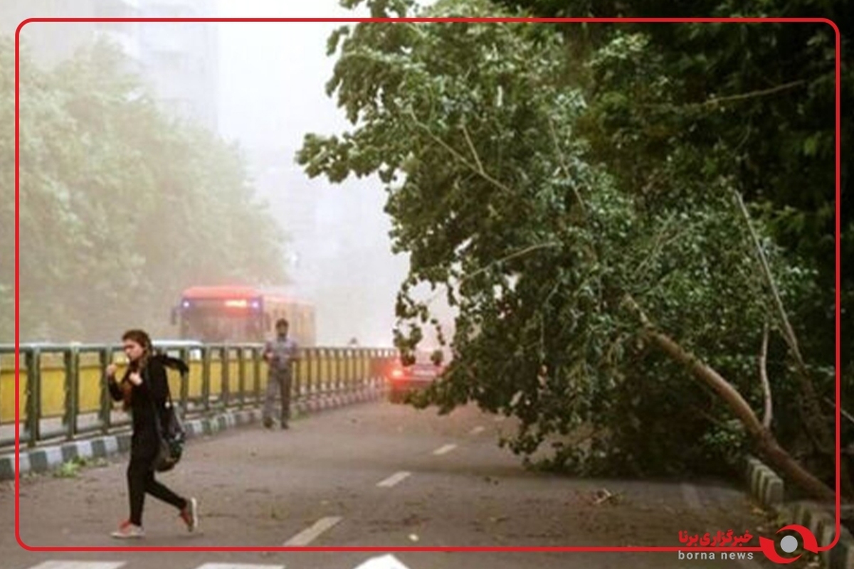 بارش گسترده و وزش باد شدید در اغلب استان‌های کشور