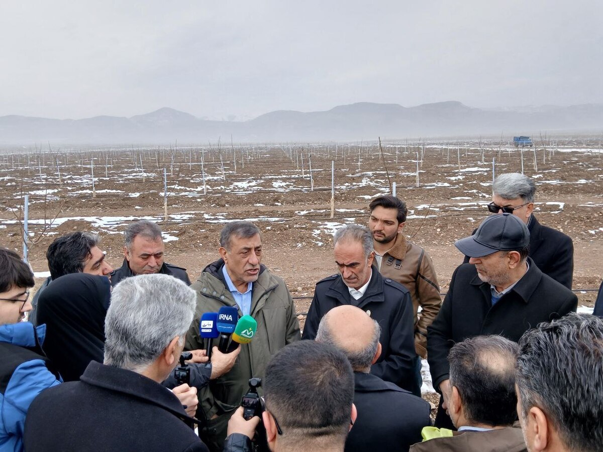 پتانسیل خوب ایران برای فعالیت بین المللی در حوزه کشاورزی مکانیزه و هوشمند