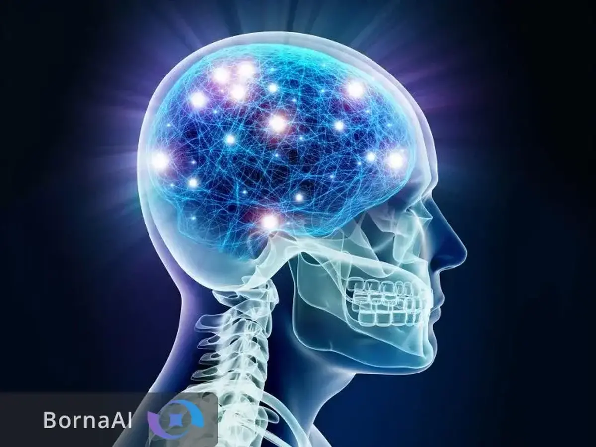 دانشمندان راز بازگشت جوانی کشف کردند