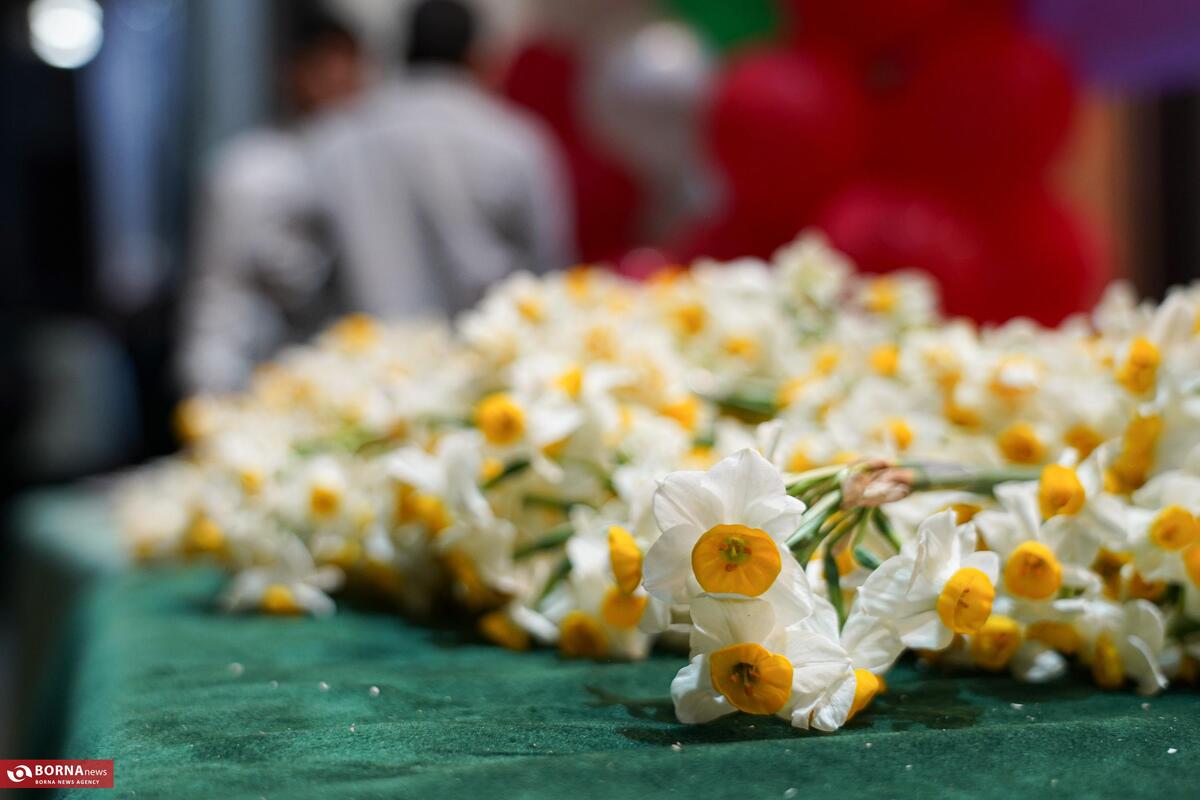 جشن‌های نیمه شعبان در مشهد + گزارش تصویری