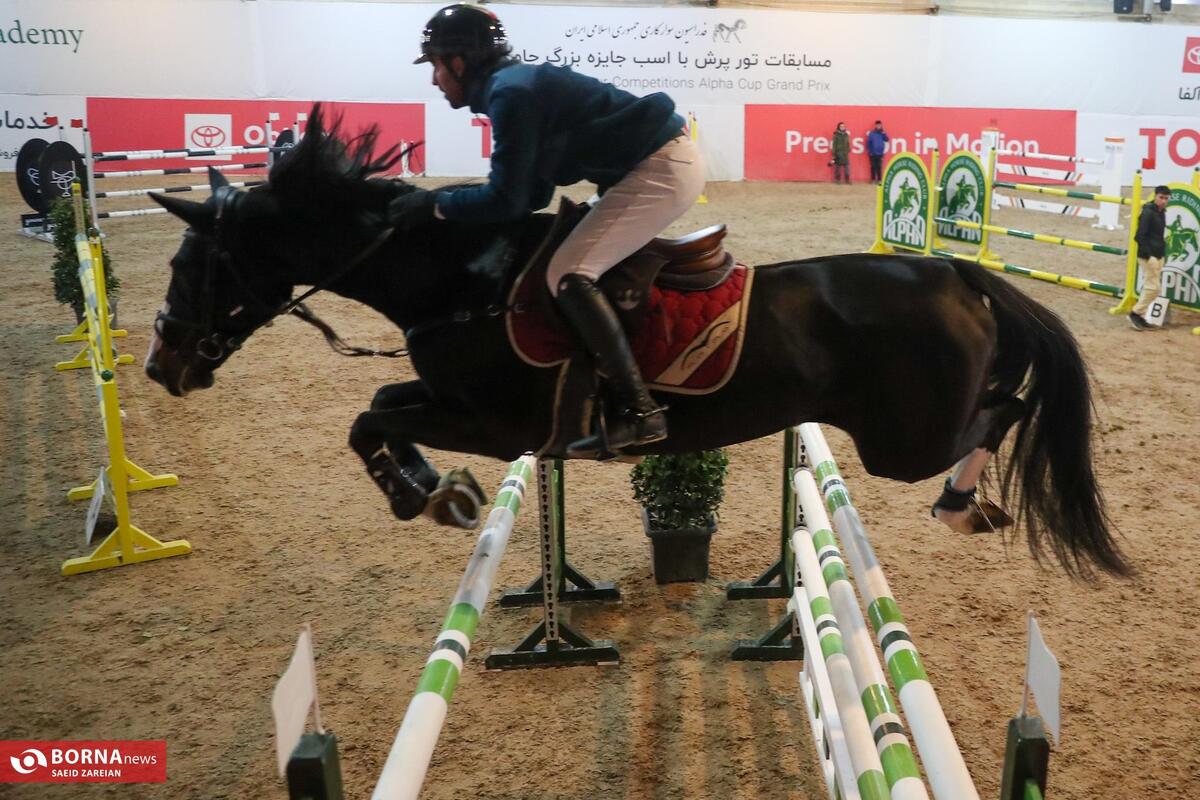 مسابقات پرش با اسب جام آلفا