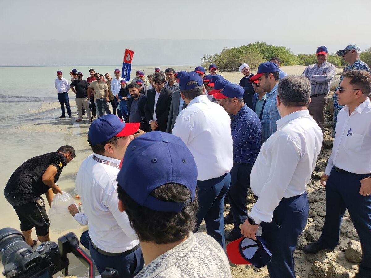 ثبت تفاهم‌نامه شیلات بوشهر و پلیمر آریاساسول در یونسکو