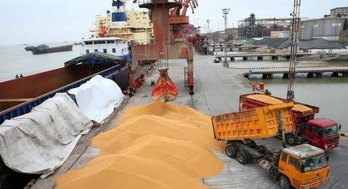 ورود اولین محموله ۶۰ هزار تنی گندم به مازندران