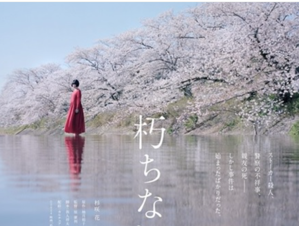 عطر «شکوفه‌های گیلاس» در راه شبکه نمایش