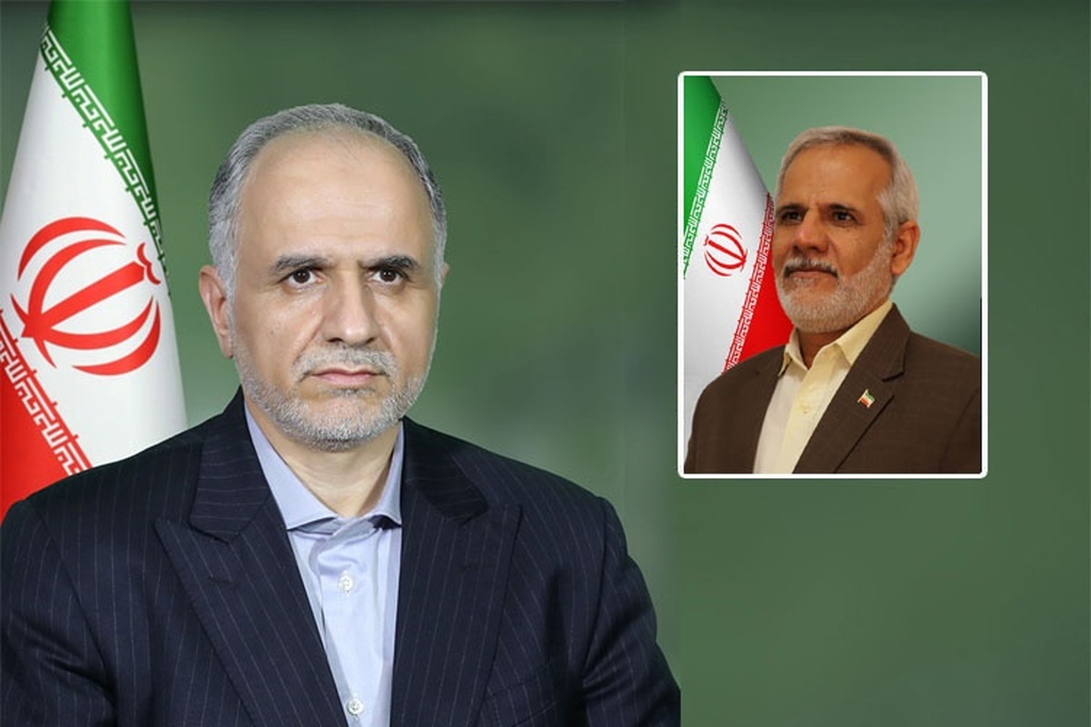 دبیر مرجع ملی کنوانسیون حقوق کودک منصوب شد