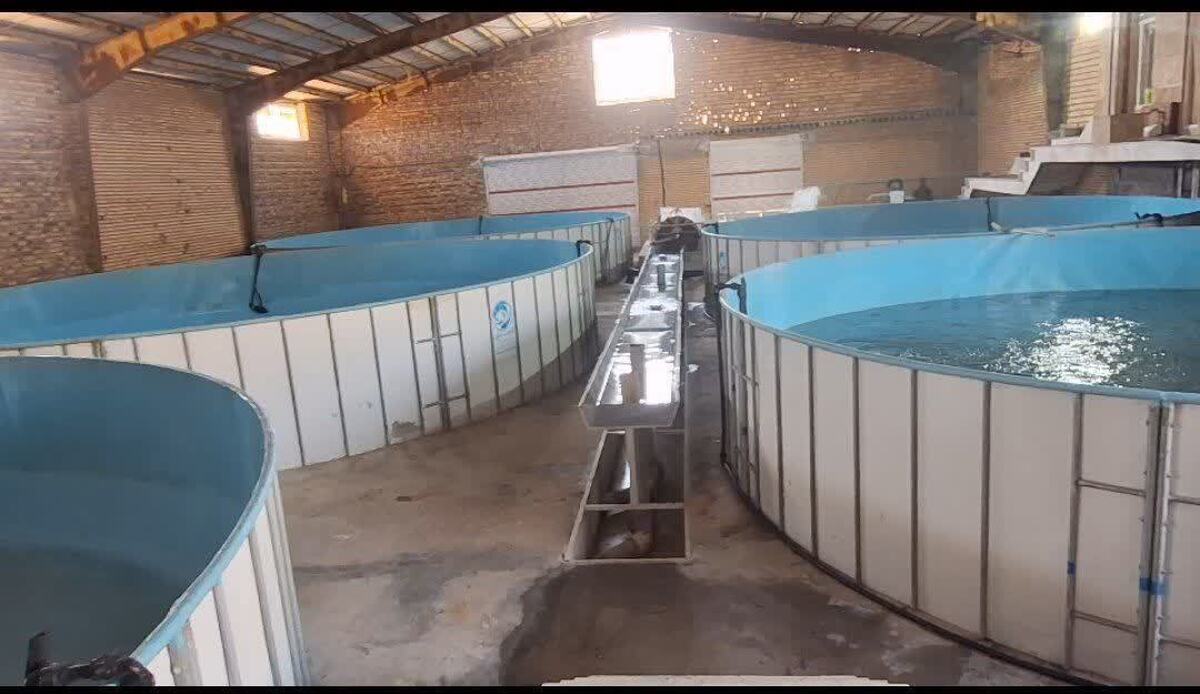 افتتاح ۵ پروژه شیلاتی در کرمانشاه همزمان با دهه فجر