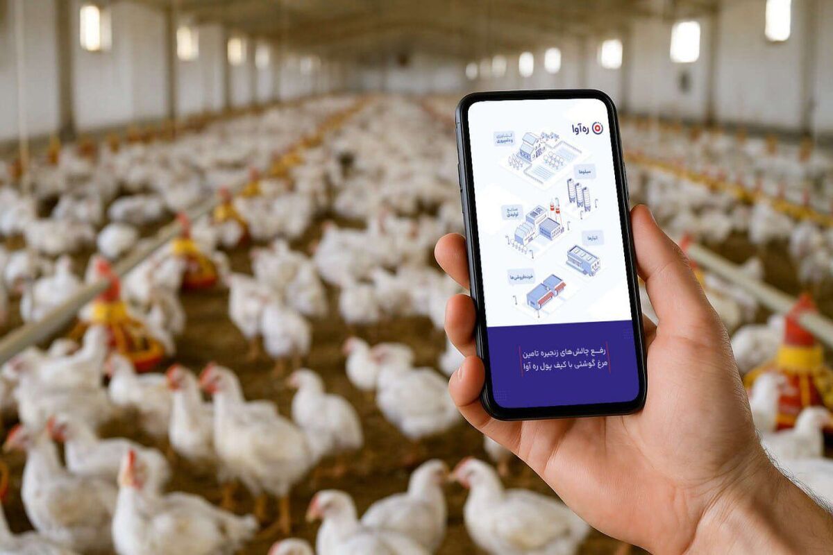کیف پول ره‌آوا؛ راهکاری نوین برای رفع چالش‌های مالی زنجیره تامین مرغ گوشتی
