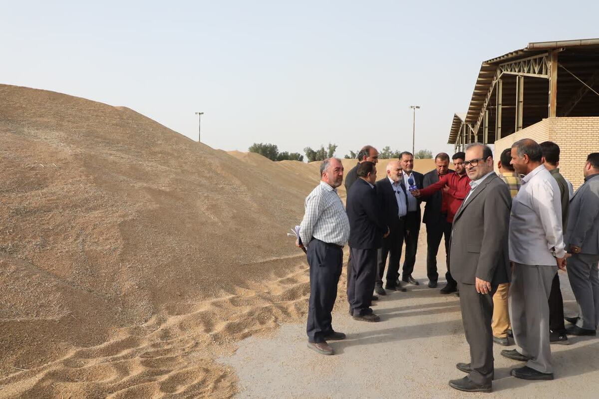 استاندار خوزستان خبر داد: پیش‌بینی برداشت یک و نیم میلیون تُن گندم در استان  
