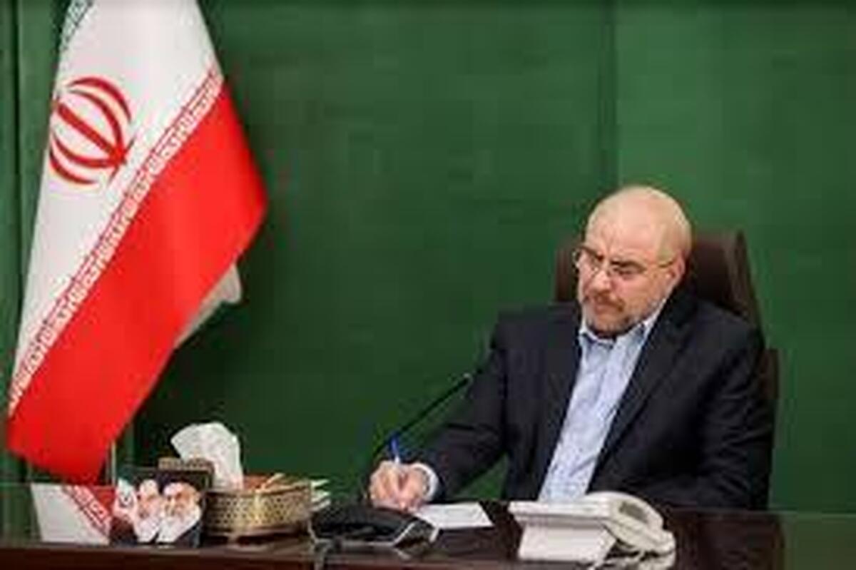 رییس مجلس: تاب‌آوری یکی از ابزارهای کلیدی برای مقابله با بحران‌هاست