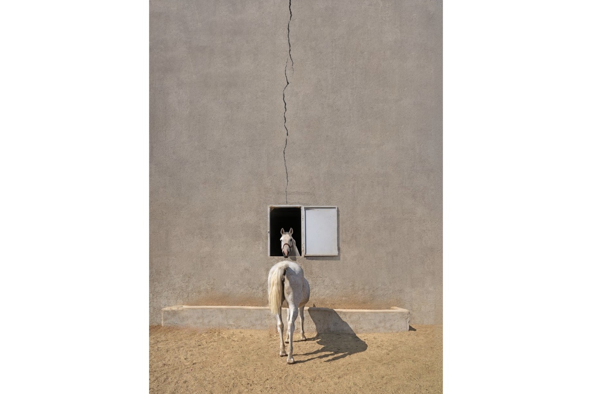 ابوالقاسم خوشرو عکاس برتر کانسپچوال شد