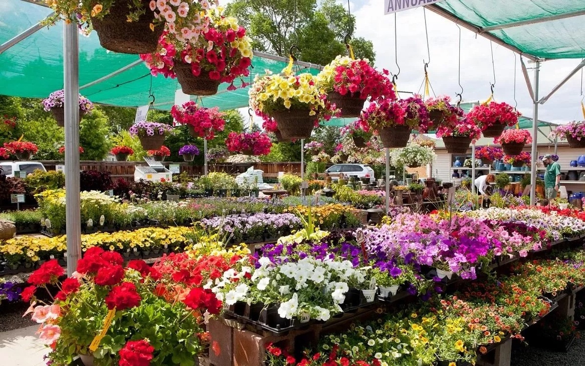 پلمپ بازار گل و گیاه امام رضا (ع) در صورت تعلل یا توقف فرآیند ایمن سازی