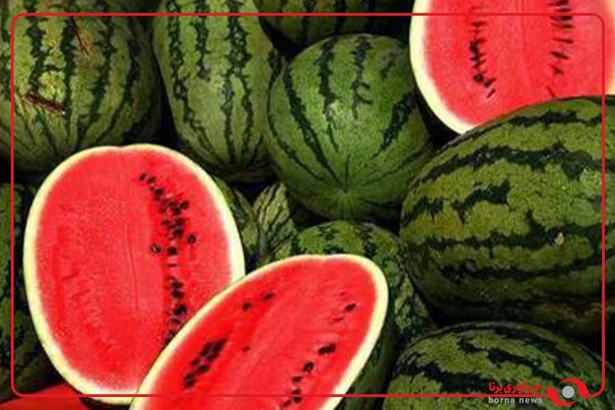 ماجرای نیترات در هندوانه‌های صادراتی چه بود؟